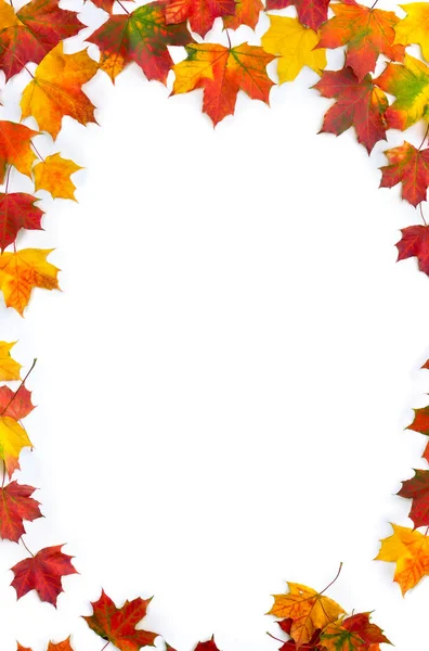 Frame of autumnal maple leaves on a white background with space for text. Top view, flat lay
