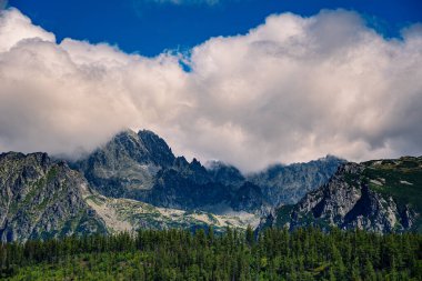 Landscape photo of nature in Slovakia. Beautiful summer landscape. Tatra Mountains in background.