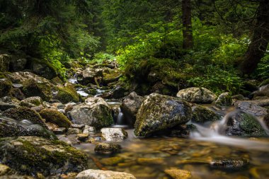 Three waters educational trail in the Low Tatras, Demnovsk Dolina, Slovensko