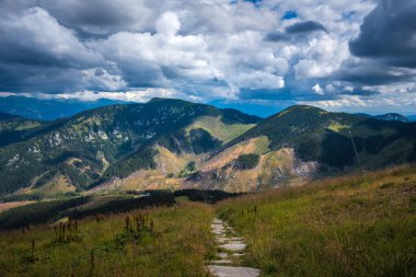 Landscape photo of nature in Slovakia. Beautiful summer landscape. Tatra Mountains in background.