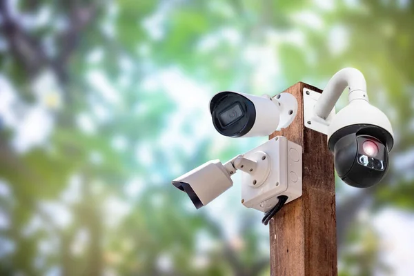 Système Vidéosurveillance Multi Angle Sur Poteaux Bois Chemin Chiffrement Souffle — Photo