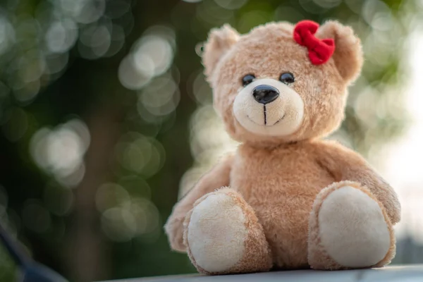 Teddy Bear Terpisah Dari Latar Belakang Kabur Bokeh — Stok Foto