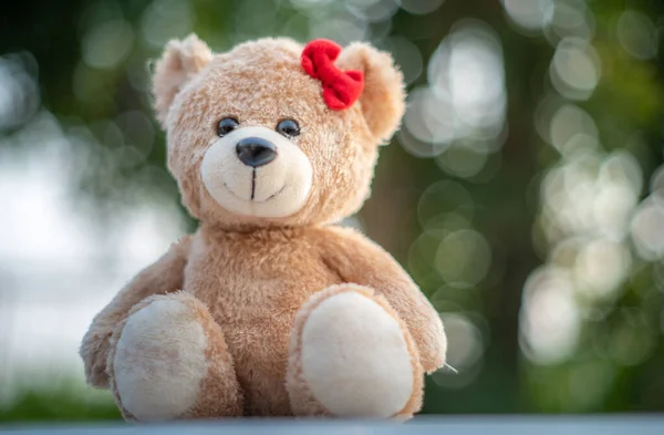 Teddy Bear Terpisah Dari Latar Belakang Kabur Bokeh — Stok Foto
