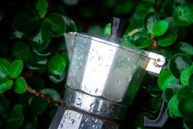 İtalyan Moka Pot 'u İtalyan Moka Pot' undan ayrıldı İtalyan moka otu kahvesi kaldı