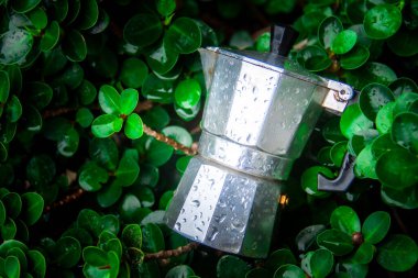 İtalyan Moka Pot 'u İtalyan Moka Pot' undan ayrıldı İtalyan moka otu kahvesi kaldı