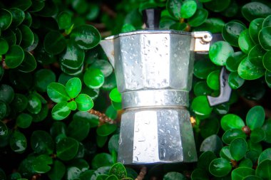 İtalyan Moka Pot 'u İtalyan Moka Pot' undan ayrıldı İtalyan moka otu kahvesi kaldı