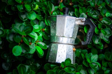 İtalyan Moka Pot 'u İtalyan Moka Pot' undan ayrıldı İtalyan moka otu kahvesi kaldı