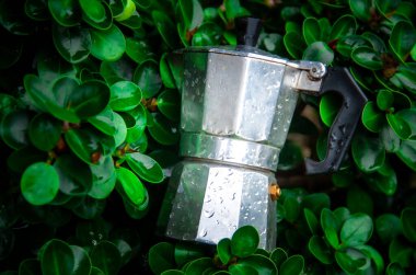 İtalyan Moka Pot 'u İtalyan Moka Pot' undan ayrıldı İtalyan moka otu kahvesi kaldı