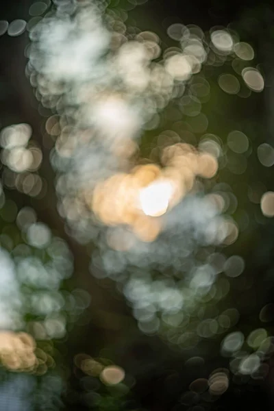 Размытый Фон Размытый Боке Природа Луч Света Размытые Листья — стоковое фото