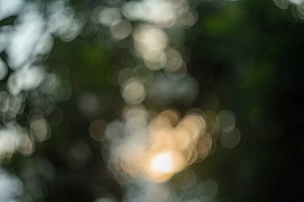 Niewyraźne Tło Niewyraźne Bokeh Natura Promień Światła Niewyraźne Liście — Zdjęcie stockowe