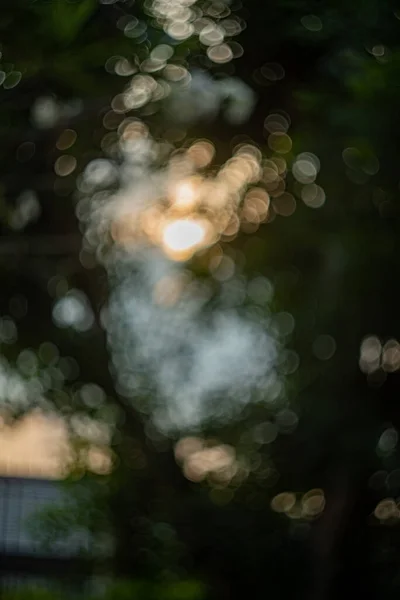 Verschwommener Hintergrund Verschwommenes Bokeh Natur Lichtstrahl Verschwommene Blätter — Stockfoto