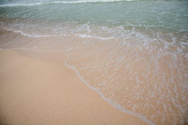 Deniz dalgası tuzlu suyu süngerler.