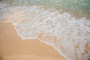 Deniz dalgası tuzlu suyu süngerler.