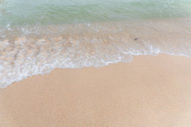 Deniz dalgası tuzlu suyu süngerler.