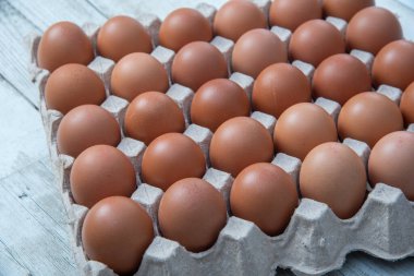 Sistemde tavuk yumurtası, kapalı çiftlik, ulaşım sistemi, organik, organik