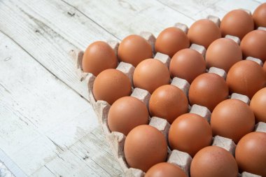 Sistemde tavuk yumurtası, kapalı çiftlik, ulaşım sistemi, organik, organik