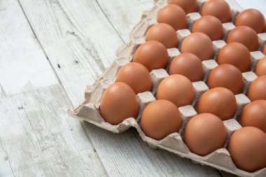 Sistemde tavuk yumurtası, kapalı çiftlik, ulaşım sistemi, organik, organik