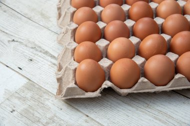 Sistemde tavuk yumurtası, kapalı çiftlik, ulaşım sistemi, organik, organik