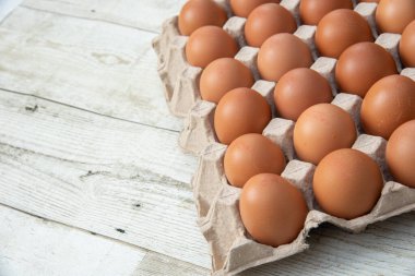 Sistemde tavuk yumurtası, kapalı çiftlik, ulaşım sistemi, organik, organik