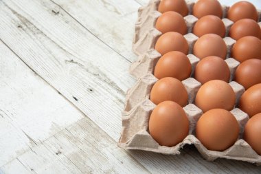 Sistemde tavuk yumurtası, kapalı çiftlik, ulaşım sistemi, organik, organik