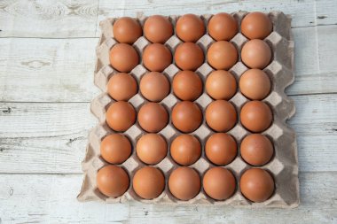 Sistemde tavuk yumurtası, kapalı çiftlik, ulaşım sistemi, organik, organik