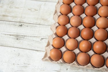 Sistemde tavuk yumurtası, kapalı çiftlik, ulaşım sistemi, organik, organik