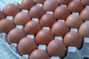 Sistemde tavuk yumurtası, kapalı çiftlik, ulaşım sistemi, organik, organik