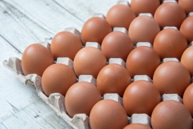 Sistemde tavuk yumurtası, kapalı çiftlik, ulaşım sistemi, organik, organik