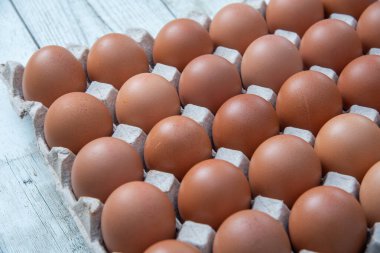 Sistemde tavuk yumurtası, kapalı çiftlik, ulaşım sistemi, organik, organik