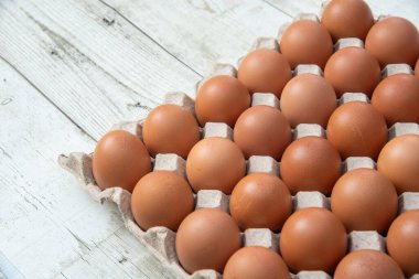 Sistemde tavuk yumurtası, kapalı çiftlik, ulaşım sistemi, organik, organik