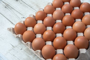 Sistemde tavuk yumurtası, kapalı çiftlik, ulaşım sistemi, organik, organik