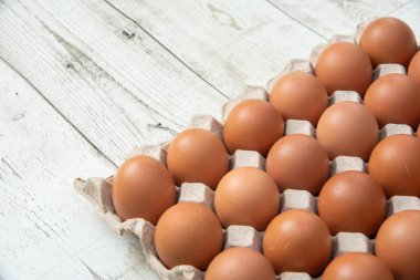 Sistemde tavuk yumurtası, kapalı çiftlik, ulaşım sistemi, organik, organik