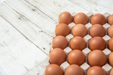 Sistemde tavuk yumurtası, kapalı çiftlik, ulaşım sistemi, organik, organik