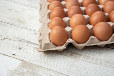 Sistemde tavuk yumurtası, kapalı çiftlik, ulaşım sistemi, organik, organik