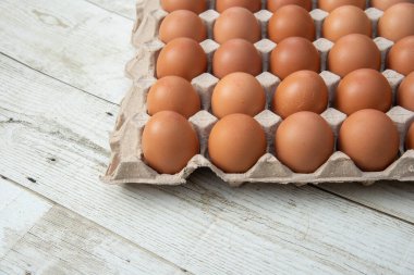 Sistemde tavuk yumurtası, kapalı çiftlik, ulaşım sistemi, organik, organik