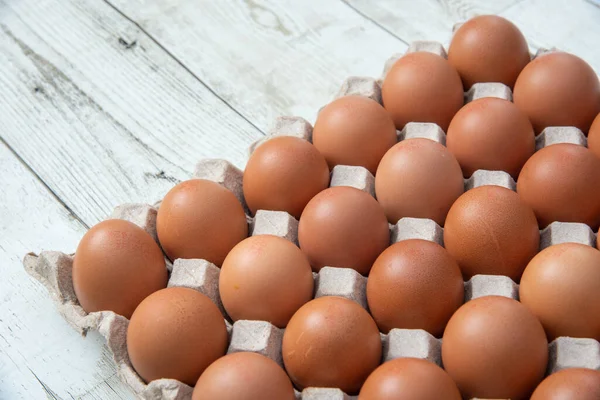 Sistemde tavuk yumurtası, kapalı çiftlik, ulaşım sistemi, organik, organik