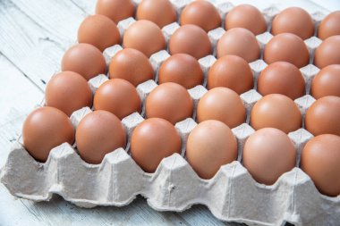 Sistemde tavuk yumurtası, kapalı çiftlik, ulaşım sistemi, organik, organik