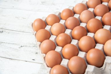 Sistemde tavuk yumurtası, kapalı çiftlik, ulaşım sistemi, organik, organik