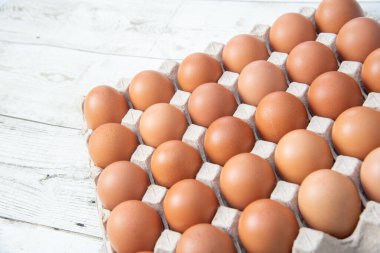 Sistemde tavuk yumurtası, kapalı çiftlik, ulaşım sistemi, organik, organik