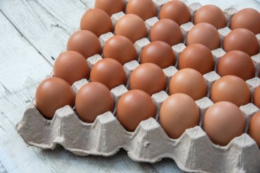 Sistemde tavuk yumurtası, kapalı çiftlik, ulaşım sistemi, organik, organik