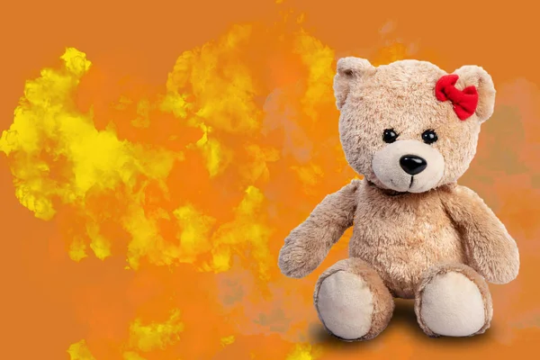 Nádherný Medvěd Který Zvětšuje Pozadí Kouř Barva Móda Roztomilý Fotografie — Stock fotografie