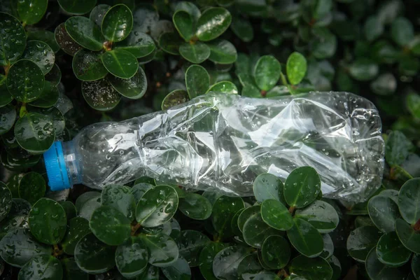 Plastic water bottles, garbage on the leaves