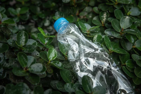 Plastic water bottles, garbage on the leaves