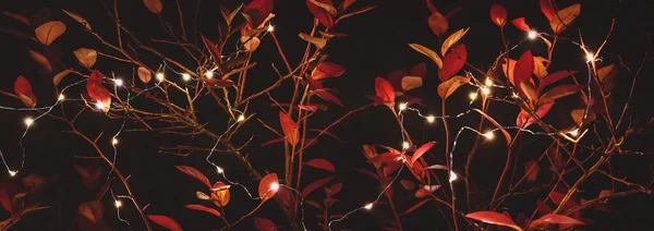 Herfst Vakantie Feest Achtergrond Met Slinger Verlichting Herfst Bladeren Achtertuin — Stockfoto