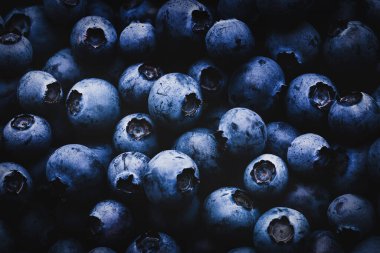 Gölgeli ve aydınlık yaban mersini arkaplanı