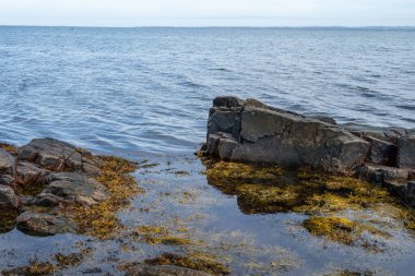 Mavi suyu ve arka planında mavi gökyüzü olan kayalık bir kıyı şeridi. Fotoğraf: Skalderviken, İsveç