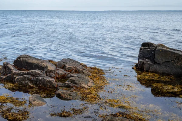 En stenig strandlinje med blått vatten och en blå himmel i bakgrunden. Bild från Skalderviken, Sverige — Stockfoto