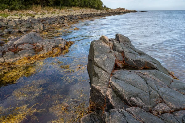 En sten mot blått vatten. Bild från Skalderviken, Sverige — Stockfoto