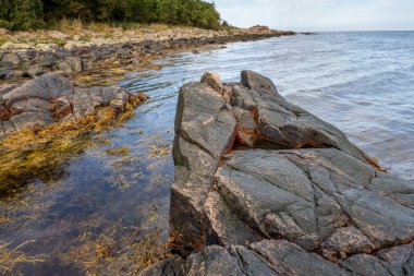Mavi suya karşı bir taş. Fotoğraf: Skalderviken, İsveç