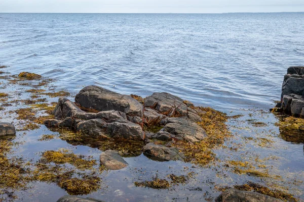 Mavi suyu ve arka planında mavi gökyüzü olan kayalık bir kıyı şeridi. Fotoğraf: Skalderviken, İsveç